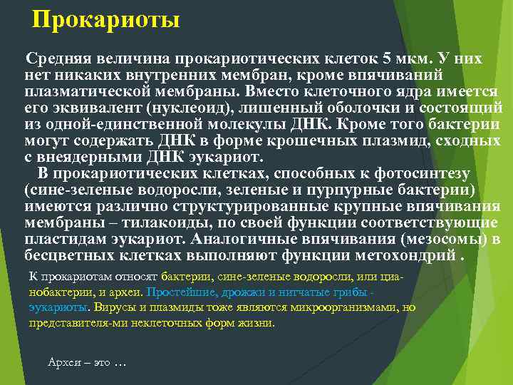   Прокариоты Средняя величина прокариотических клеток 5 мкм. У них нет никаких внутренних