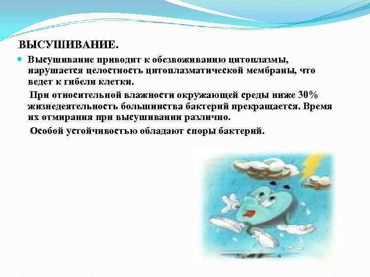 ВЫСУШИВАНИЕ. Высушивание приводит к обезвоживанию цитоплазмы, нарушается целостность цитоплазматической мембраны, что ВЫСУШИВАНИЕ. Высушивание приводит к обезвоживанию цитоплазмы, нарушается целостность цитоплазматической мембраны, что