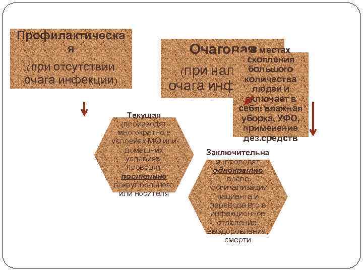 Профилактическа я Очаговая местах В скопления (при отсутствии (при наличиибольшого очага инфекции) количества очага