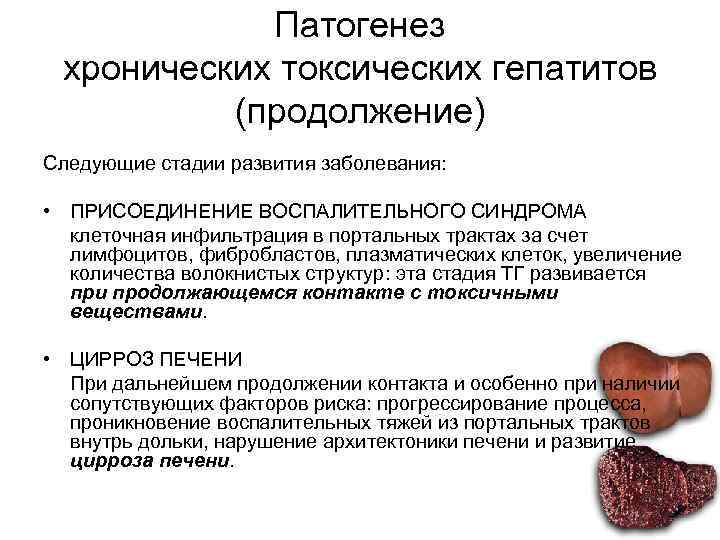   Патогенез хронических токсических гепатитов  (продолжение) Следующие стадии развития заболевания:  •