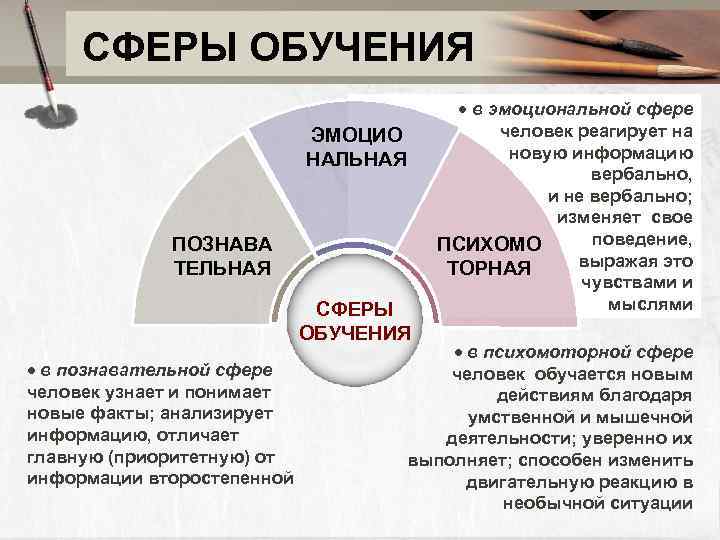  СФЕРЫ ОБУЧЕНИЯ     в эмоциональной сфере    