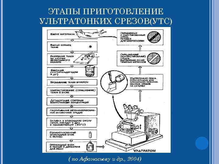  ЭТАПЫ ПРИГОТОВЛЕНИЕ УЛЬТРАТОНКИХ СРЕЗОВ(УТС) ( по Афанасьеву и др. , 2004) 