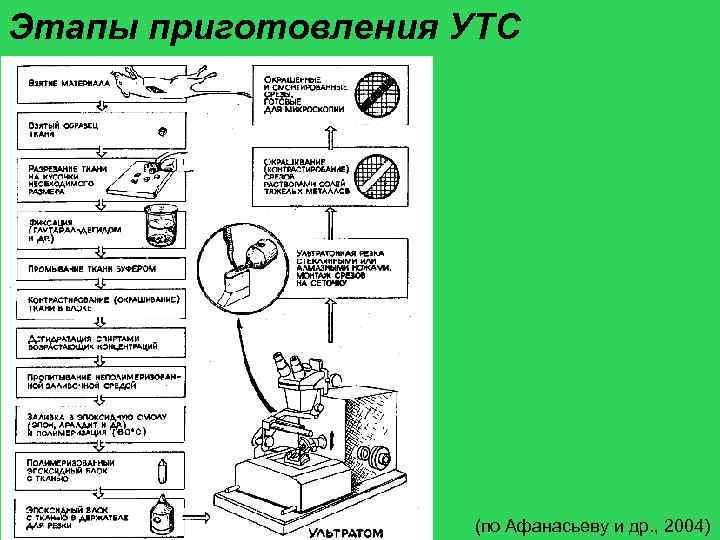 Этапы приготовления УТС (по Афанасьеву и др. , 2004) 