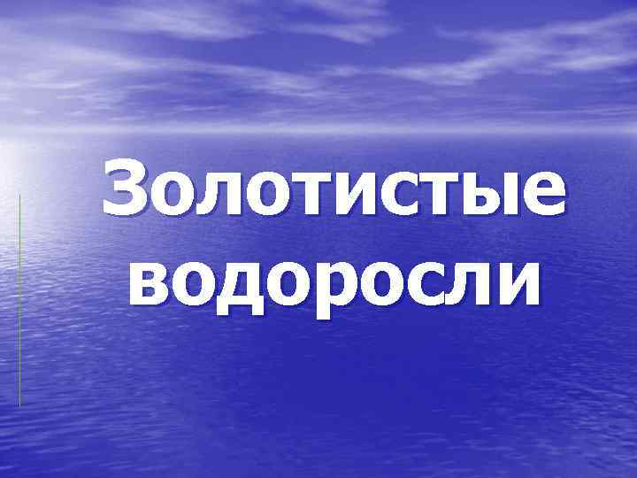 Золотистые водоросли 