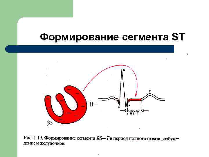  Формирование сегмента ST. . 