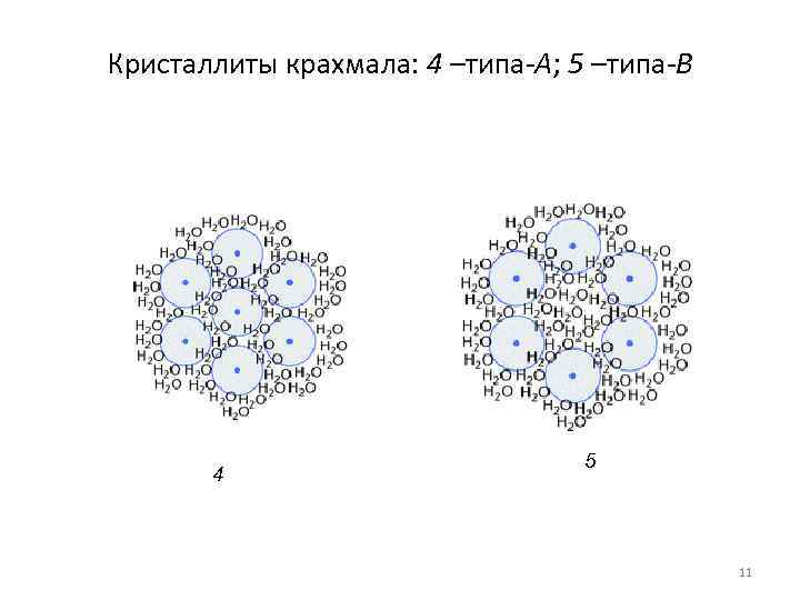 Кристаллиты крахмала: 4 –типа-А; 5 –типа-В    5  4  