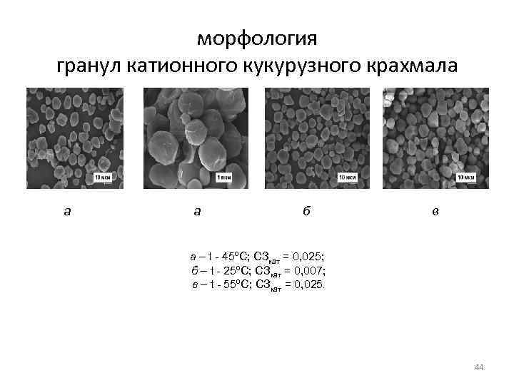    морфология гранул катионного кукурузного крахмала а  а   