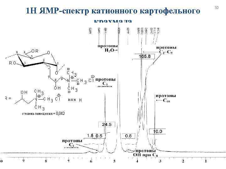        50 1 Н ЯМР-спектр катионного картофельного 