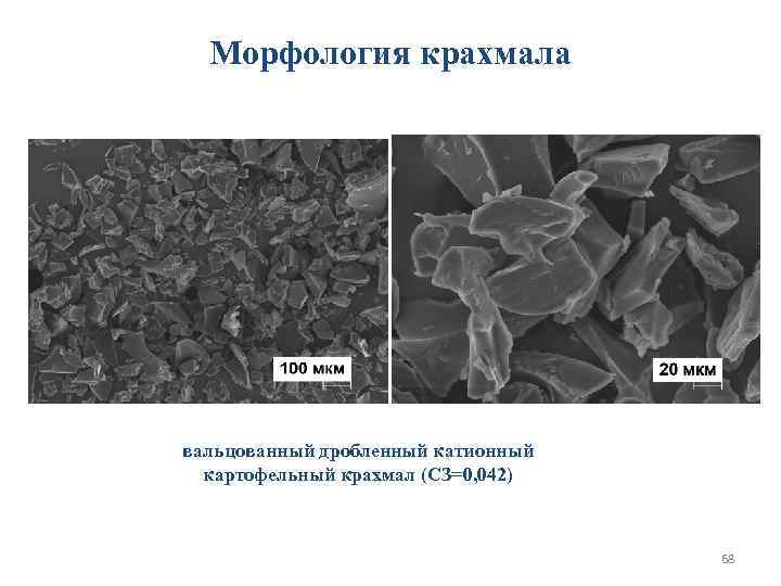  Морфология крахмала вальцованный дробленный катионный  картофельный крахмал (СЗ=0, 042)   