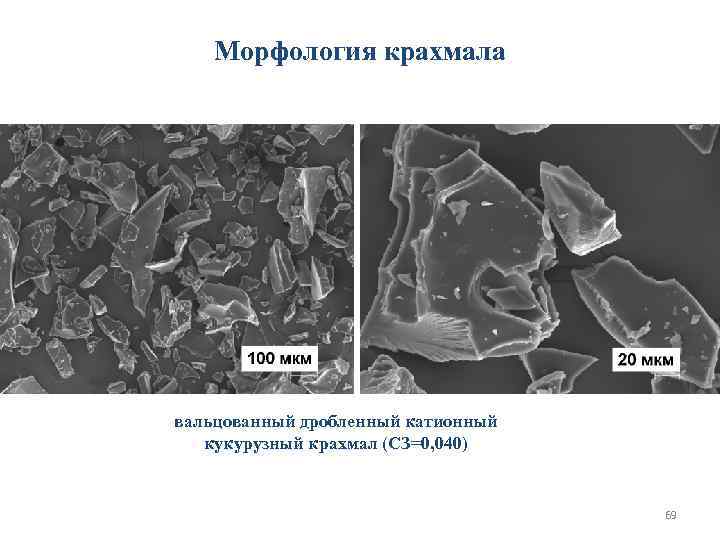   Морфология крахмала вальцованный дробленный катионный  кукурузный крахмал (СЗ=0, 040)  
