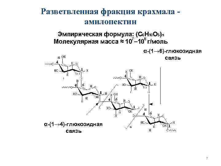 Схема ферментативного гидролиза крахмала