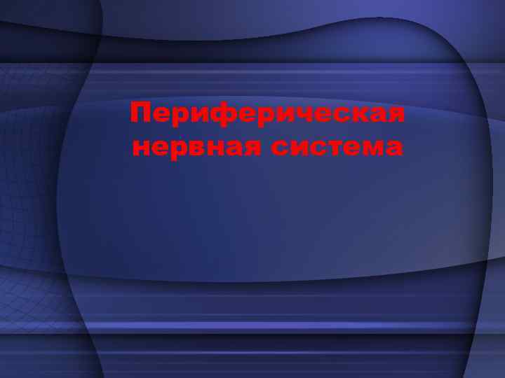 Периферическая нервная система 