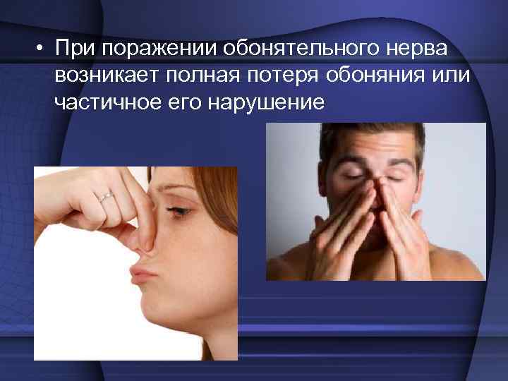  II пара – зрительный нерв – чувствительный.  Про зрительный нерв также нельзя