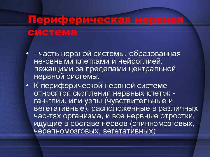 Черепно-мозговые нервы 