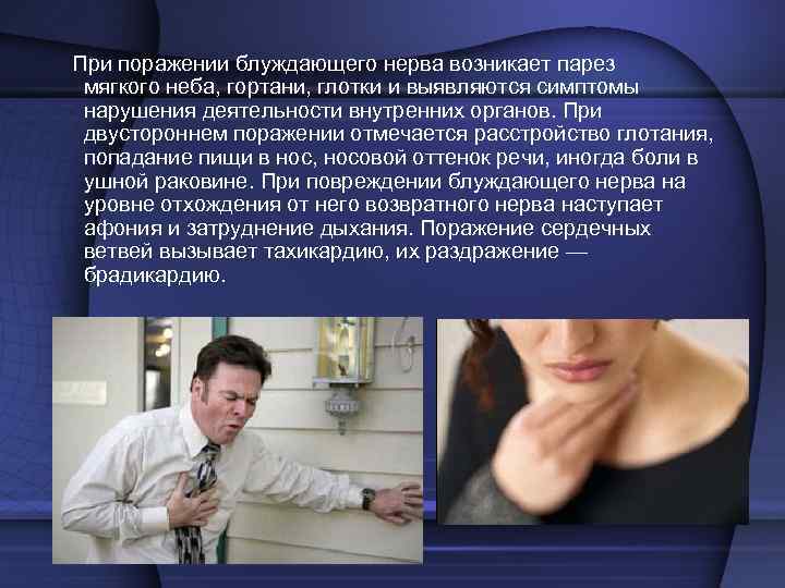   XI пара – добавочный нерв – двигательный.  Его ядра лежат в