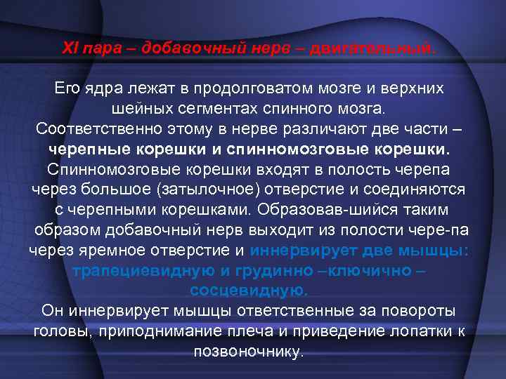 XII пара, подъязычный нерв    •  1 — ядро подъязычного нерва;