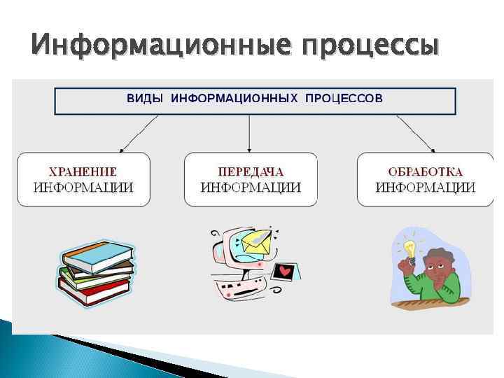 Информационные процессы 