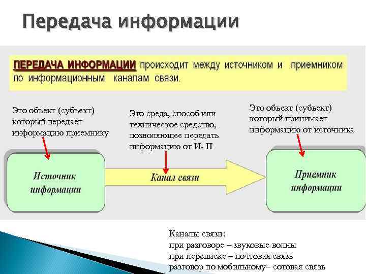 Как человек передает информацию