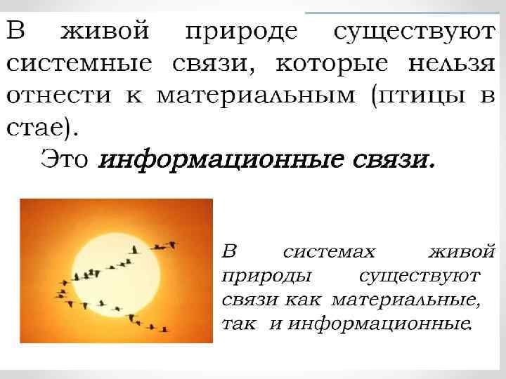 Вельдяева О. С. , МОУ ЛСОШ № 1 