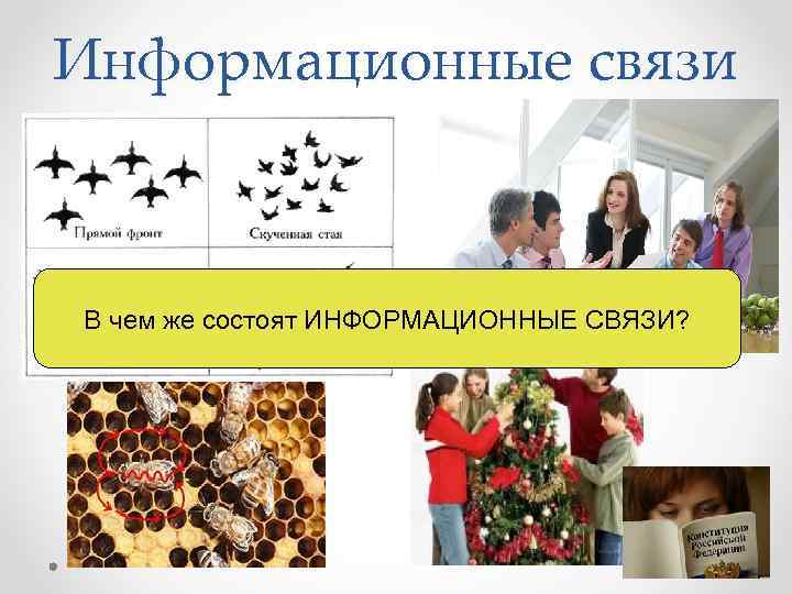 Информационные связи  В чем же состоят ИНФОРМАЦИОННЫЕ СВЯЗИ? 