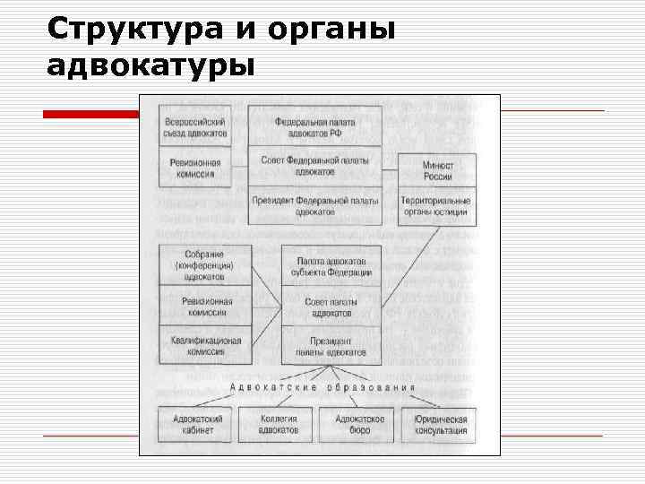 Структура и органы адвокатуры 