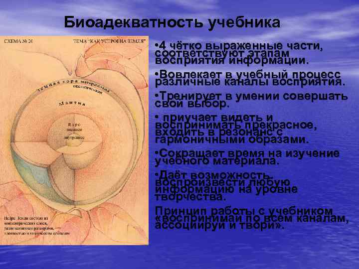 Биоадекватность учебника • 4 чётко выраженные части, соответствуют этапам восприятия информации. • Вовлекает в