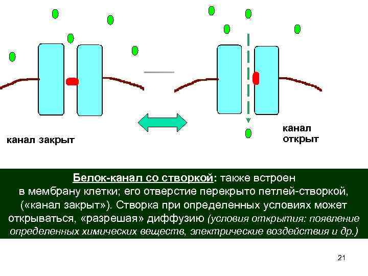      канал закрыт       открыт