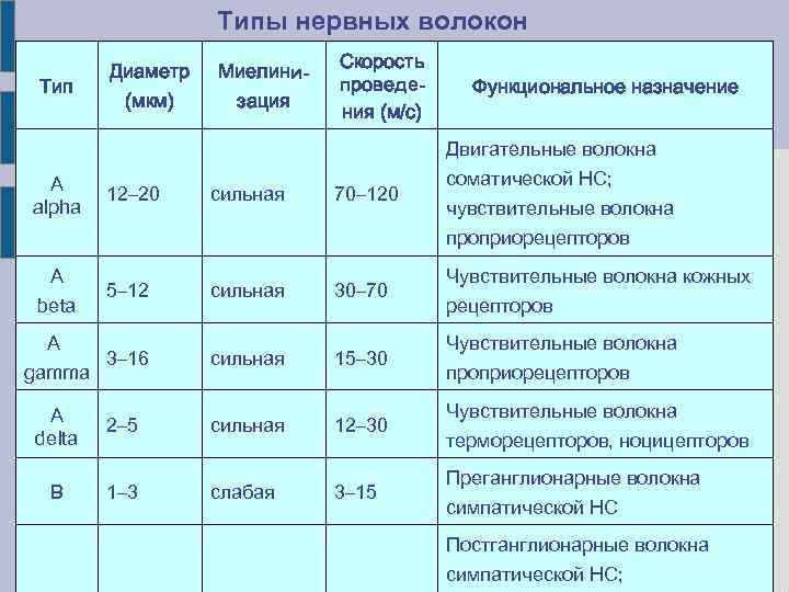  Типы нервных волокон Скорость Диаметр Миелини- Тип проведе- Функциональное назначение (мкм) зация ния