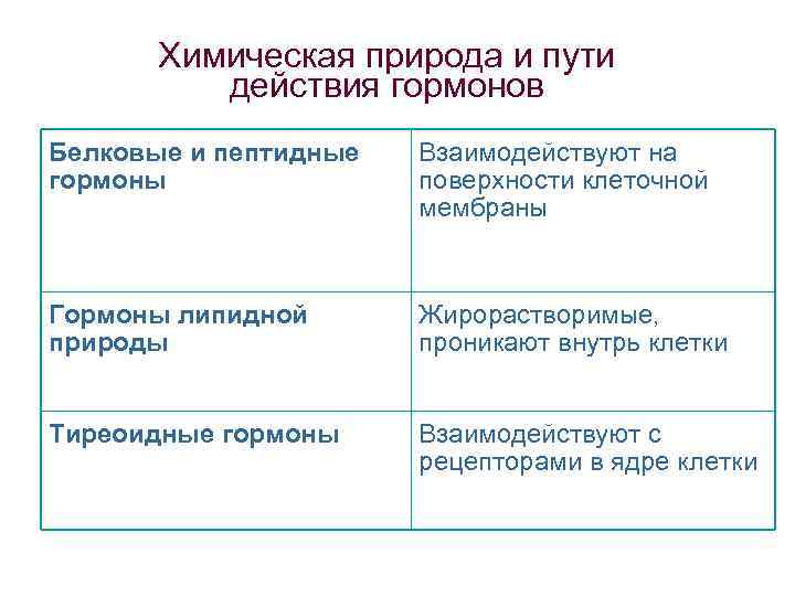  Химическая природа и пути действия гормонов Белковые и пептидные Взаимодействуют на гормоны поверхности