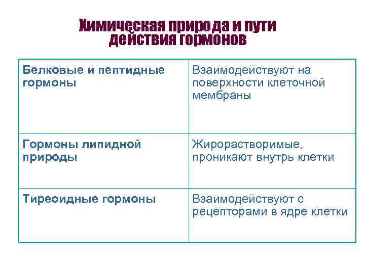  Химическая природа и пути действия гормонов Белковые и пептидные Взаимодействуют на гормоны поверхности