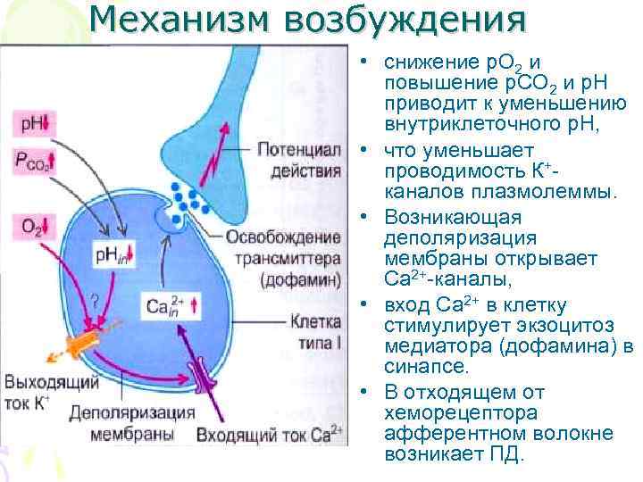 Механизм возбуждения