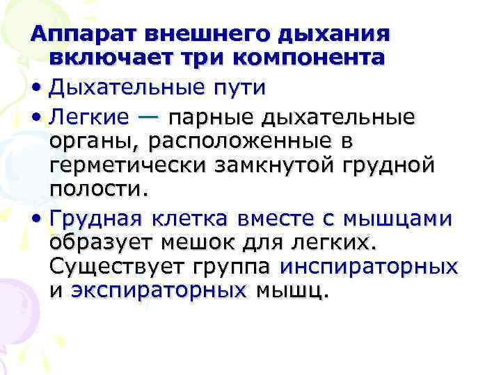 Аппарат внешнего дыхания включает три компонента • Дыхательные пути • Легкие — парные дыхательные