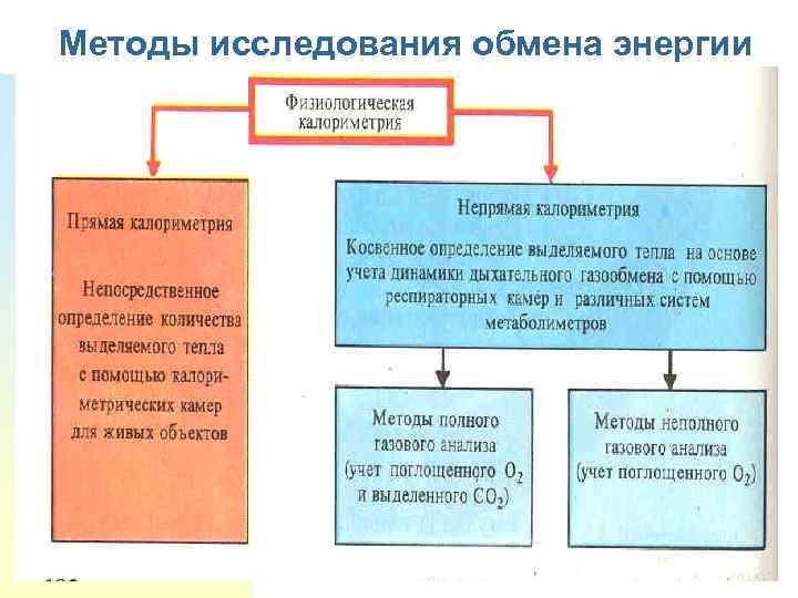 Методы исследования обмена энергии 