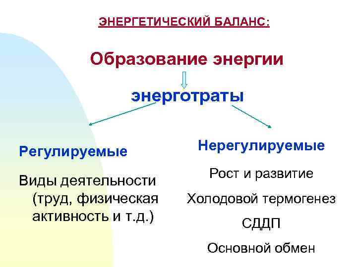 Образуют энергию. Энергетический баланс презентация. Энергетический баланс это биология. Обмен веществ, энергетический баланс.. Образование и расход энергии это.