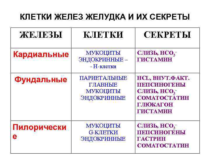  КЛЕТКИ ЖЕЛЕЗ ЖЕЛУДКА И ИХ СЕКРЕТЫ ЖЕЛЕЗЫ КЛЕТКИ СЕКРЕТЫ Кардиальные МУКОЦИТЫ СЛИЗЬ, НСО