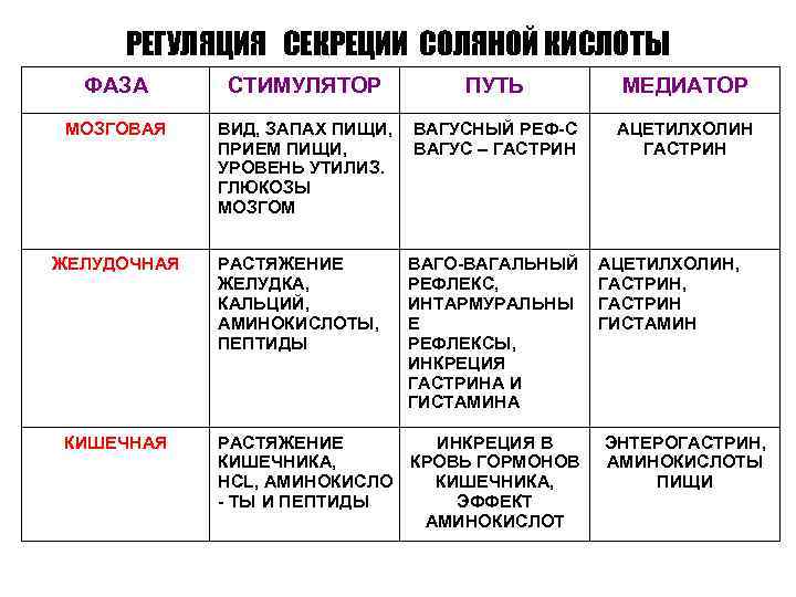  РЕГУЛЯЦИЯ СЕКРЕЦИИ СОЛЯНОЙ КИСЛОТЫ ФАЗА СТИМУЛЯТОР ПУТЬ МЕДИАТОР МОЗГОВАЯ ВИД, ЗАПАХ ПИЩИ, ВАГУСНЫЙ