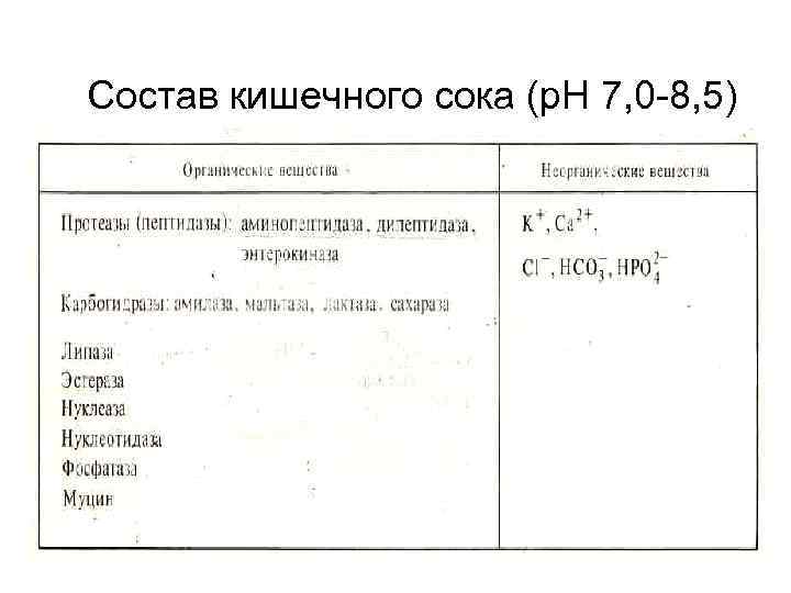 Состав кишечного сока (p. H 7, 0 -8, 5) 