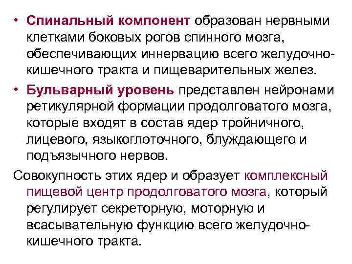  • Спинальный компонент образован нервными клетками боковых рогов спинного мозга, обеспечивающих иннервацию всего