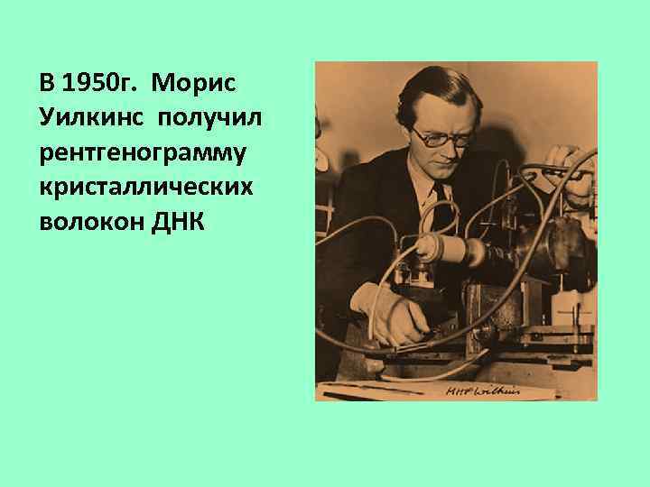 Морис уилкинс. Уилкинс ДНК. Морис Морис Уилкинс. Морис Уилкинс достижения в биологии. Морис Уилкинс британский физик.