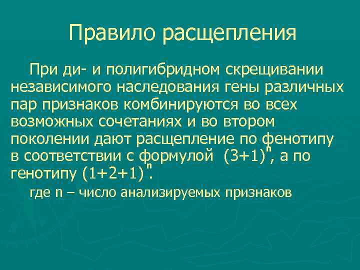  Правило расщепления При ди- и полигибридном скрещивании независимого наследования гены различных пар признаков