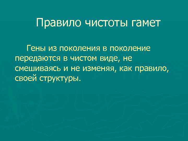  Правило чистоты гамет Гены из поколения в поколение передаются в чистом виде, не