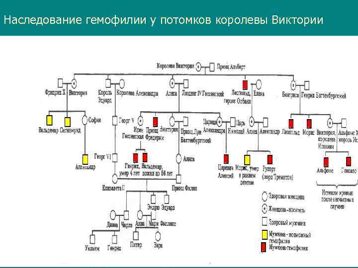 Наследование гемофилии у потомков королевы Виктории 