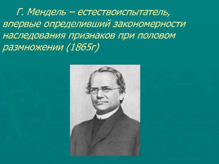  Г. Мендель – естествоиспытатель, впервые определивший закономерности наследования признаков при половом размножении (1865