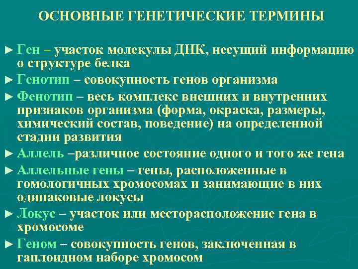  ОСНОВНЫЕ ГЕНЕТИЧЕСКИЕ ТЕРМИНЫ ► Ген – участок молекулы ДНК, несущий информацию о структуре