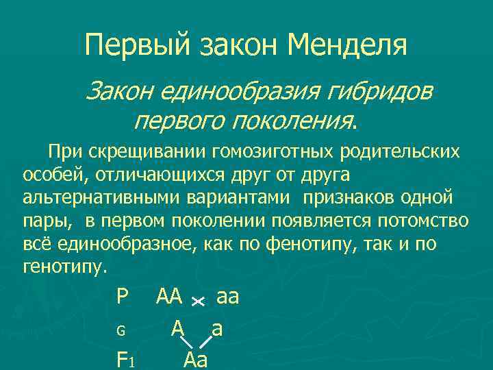  Первый закон Менделя Закон единообразия гибридов первого поколения. При скрещивании гомозиготных родительских особей,