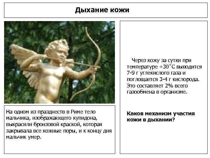 Что вы знаете об азбуке Брайля? 