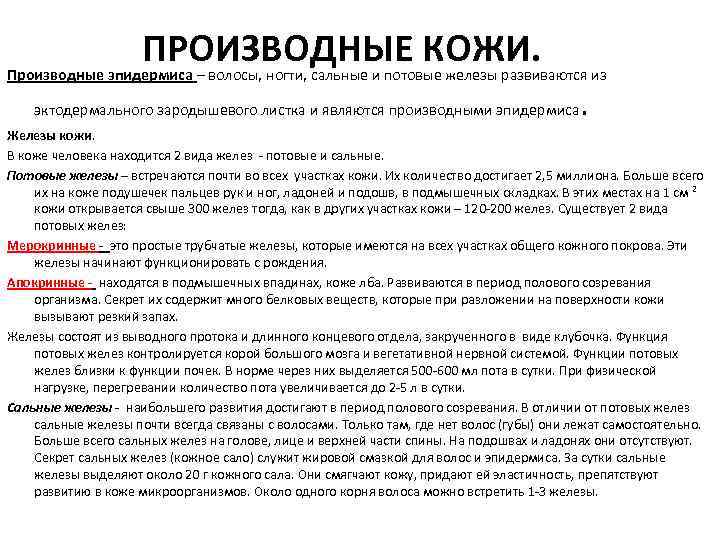       Волосы покрывают почти всю поверхность кожи. Их нет