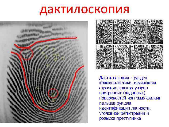   1     КРОССВОРД   2   4