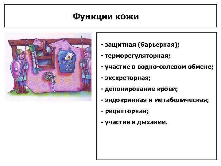      Дыхание кожи     Через кожу за