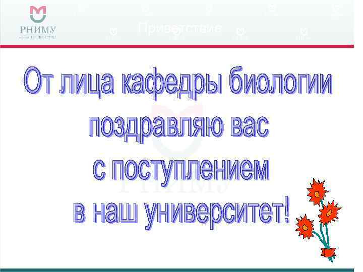 Приветствие 